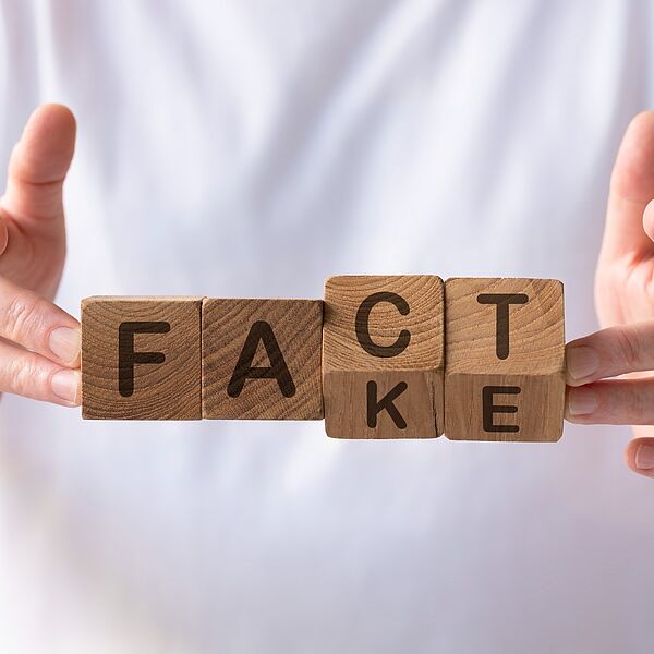 Holzblöcke mit den Worten Fake und Fact / Foto: iStock/enviromantic iStock